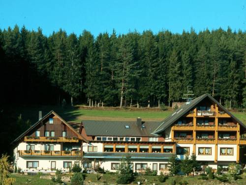 Imagen general del Hotel Waldhotel Auerhahn. Foto 1