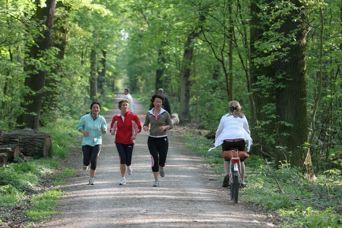 Imagen general del Hotel Waldhotel Bad Soden. Foto 3