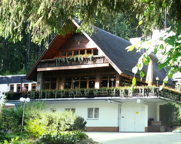 Imagen general del Hotel Waldhotel Ehrental. Foto 4