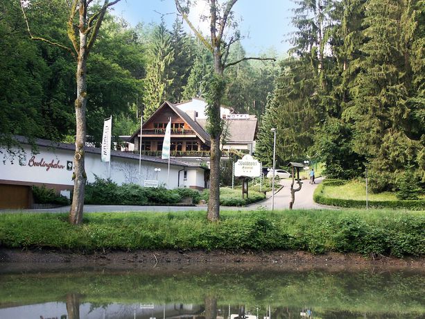 Imagen de los exteriores del Hotel Waldhotel Ehrental. Foto 8