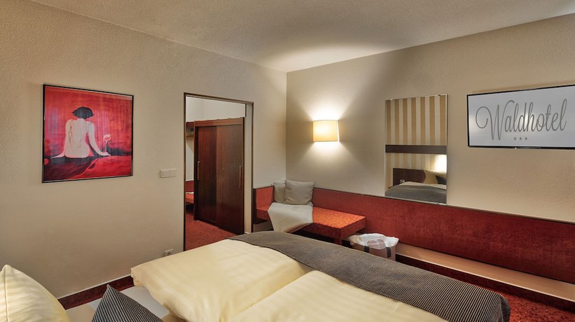 Imagen de la habitación del Hotel Waldhotel Eisenberg. Foto 16