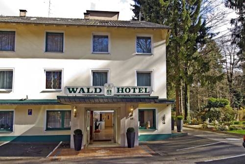 Imagen general del Hotel Wald-hotel. Foto 3