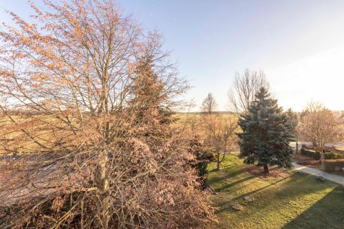 Imagen de la habitación del Hotel Waldhotel Roggosen. Foto 5