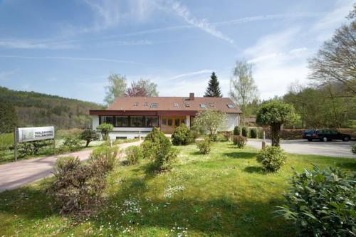 Imagen de la habitación del Hotel Waldhotel Sulzbachtal. Foto 2