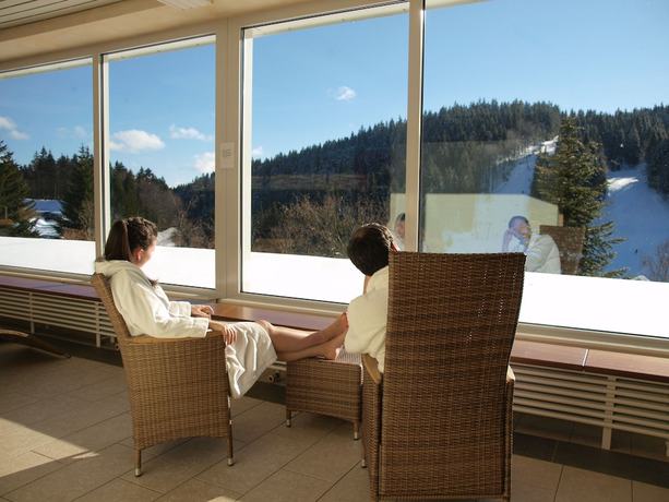 Imagen de la piscina del Hotel Waldhotel am Notschreipass. Foto 15