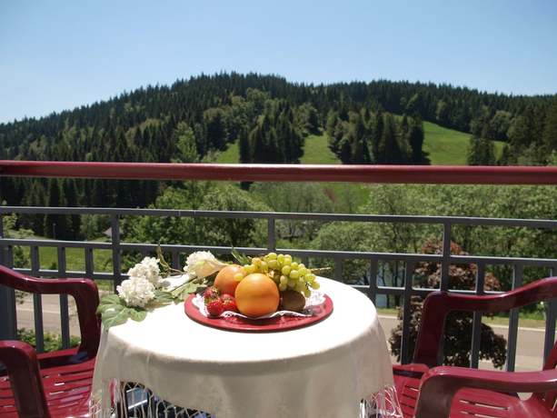 Imagen de la habitación del Hotel Waldhotel am Notschreipass. Foto 10