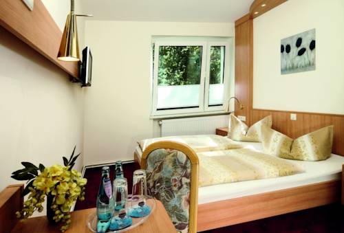 Imagen de la habitación del Hotel Waldidyll. Foto 9