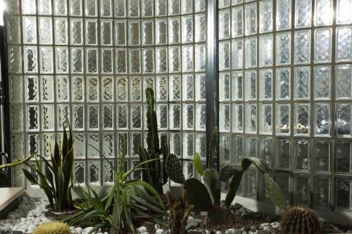 Imagen general del Hotel Waldorf Palace. Foto 13