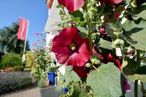 Imagen general del Hotel Waldperle. Foto 4