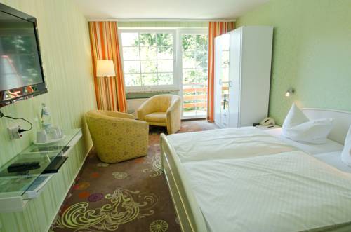 Imagen de la habitación del Hotel Waldrausch. Foto 8