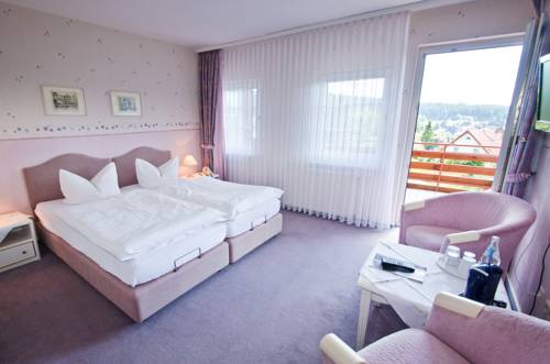 Imagen de la habitación del Hotel Waldrausch. Foto 9
