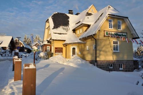 Imagen general del Hotel Waldschl&ouml;sschen, Oberhof. Foto 1