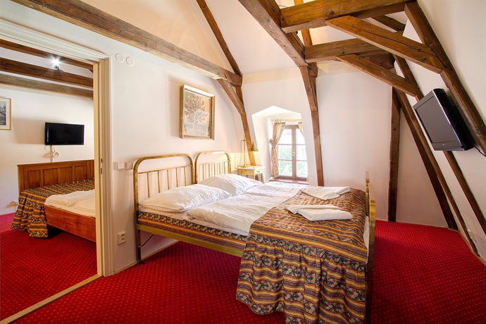 Imagen de la habitación del Hotel Waldstein. Foto 13