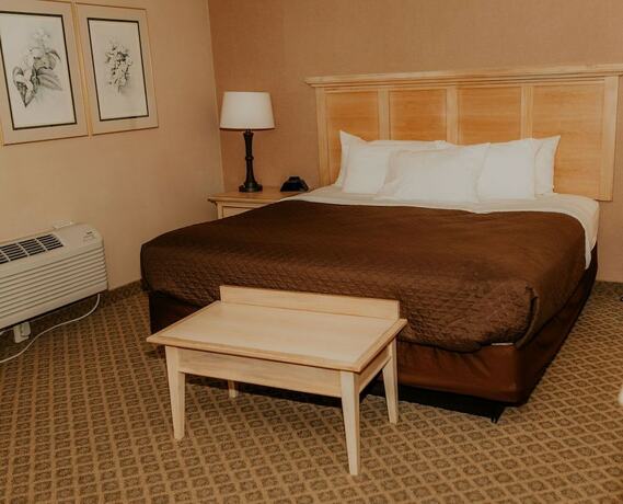 Imagen de la habitación del Hotel Wallace Inn. Foto 14