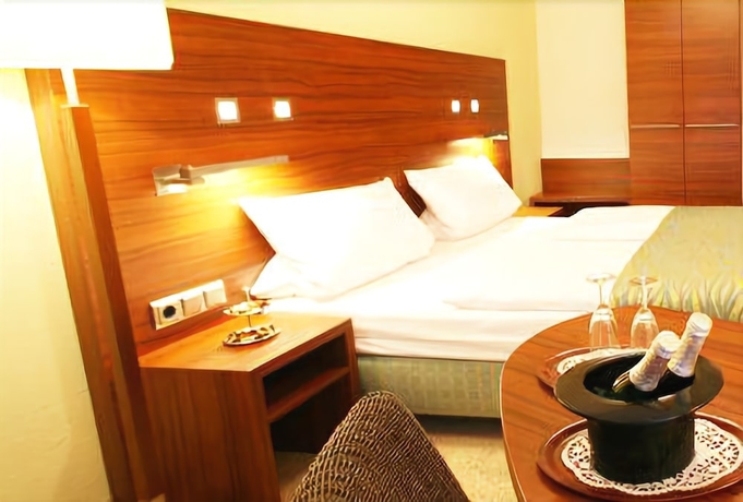 Imagen de la habitación del Hotel Wallis. Foto 10