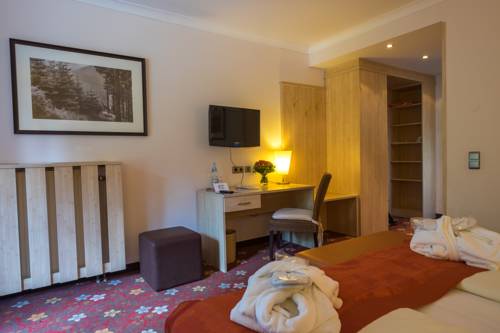 Imagen de la habitación del Hotel Walpurgishof. Foto 10