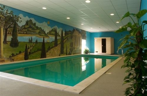 Imagen de la piscina del Hotel Walram. Foto 5