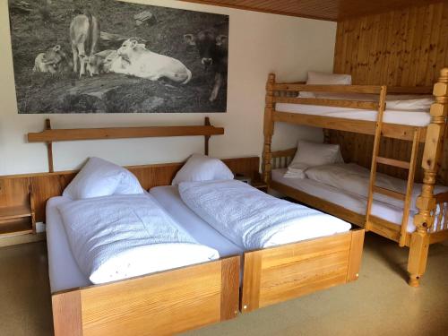 Imagen de la habitación del Hotel Walser, Ulrichen. Foto 8
