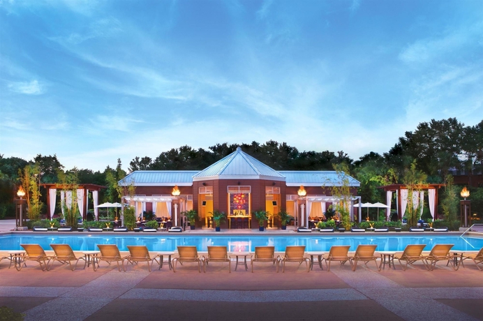 Imagen de la piscina del Hotel Walt Disney World Swan and Dolphin. Foto 15