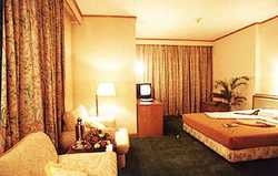 Imagen de la habitación del Hotel Wan Nian. Foto 4