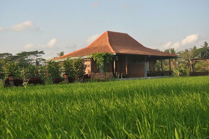 Imagen general del Hotel Wana Stay Ubud. Foto 2