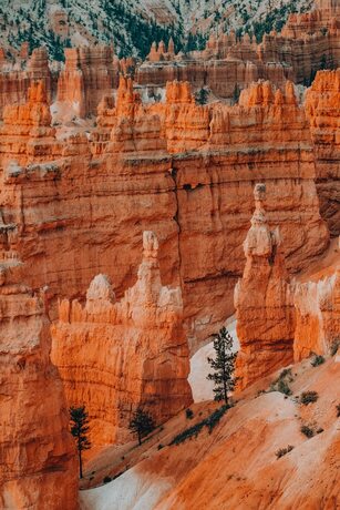 Imagen general del Hotel Wander Camp Bryce Canyon - Escalante. Foto 6