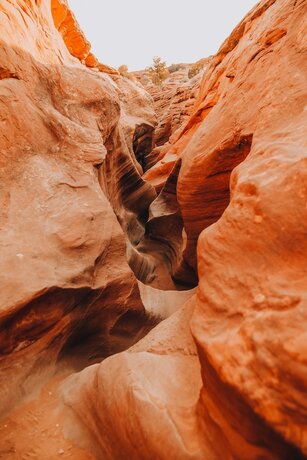 Imagen general del Hotel Wander Camp Bryce Canyon - Escalante. Foto 9
