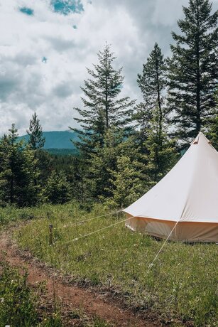 Imagen de la habitación del Hotel Wander Camp Glacier. Foto 13