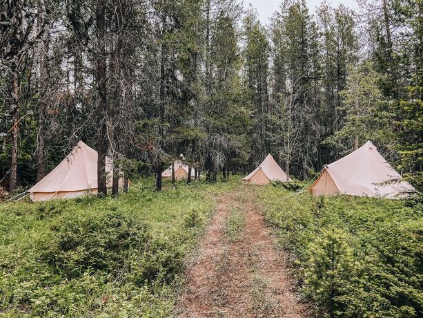 Imagen de la habitación del Hotel Wander Camp Glacier. Foto 17