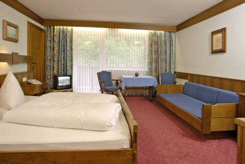 Imagen de la habitación del Hotel Wander- & Relaxhotel Gollinger Hof. Foto 12
