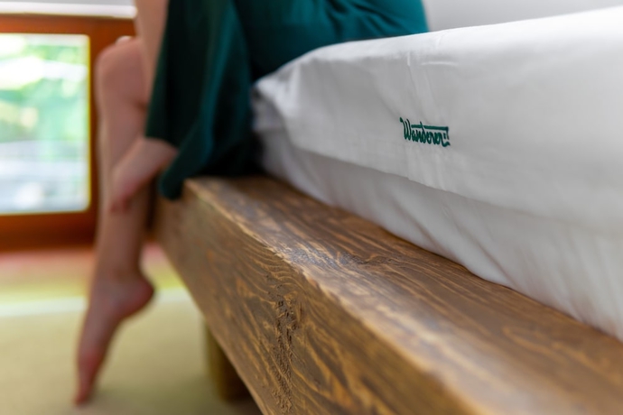 Imagen de la habitación del Hotel Wanderer. Foto 10