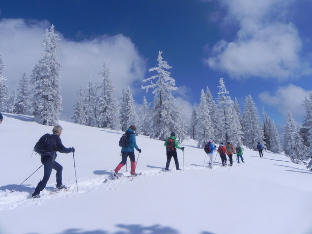 Imagen general del Hotel Wander-vitalhotel Steirerhof. Foto 2