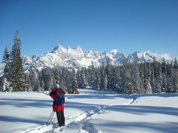 Imagen general del Hotel Wander-vitalhotel Steirerhof. Foto 4