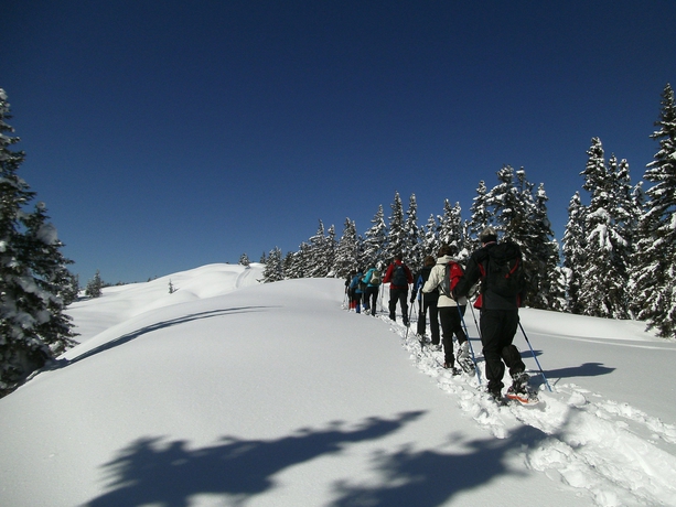 Imagen general del Hotel Wander-vitalhotel Steirerhof. Foto 8