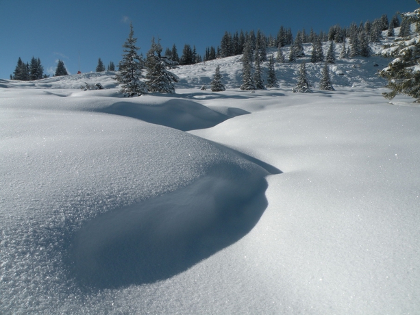 Imagen general del Hotel Wander-vitalhotel Steirerhof. Foto 10