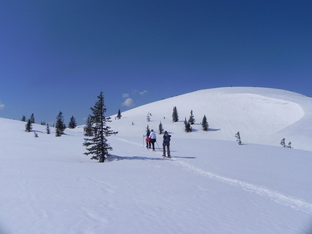 Imagen general del Hotel Wander-vitalhotel Steirerhof. Foto 12