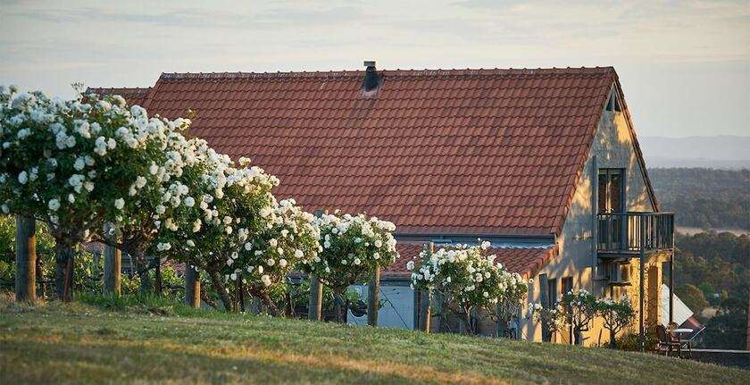 Imagen general del Hotel Wandin Valley Estate. Foto 2