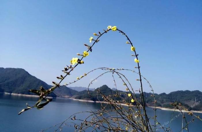 Imagen general del Hotel WangDao holiday inn in Qiandao Lake. Foto 5