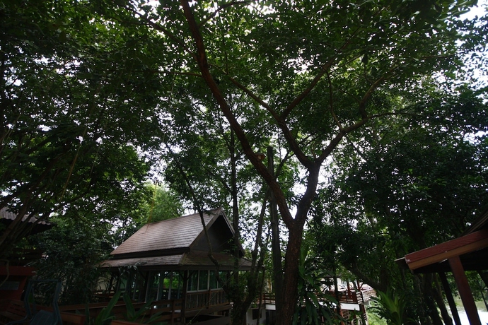 Imagen de los exteriores del Hotel Wangtaparb Resort. Foto 17