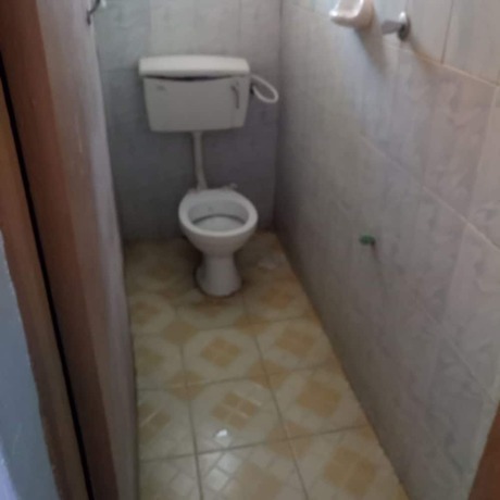 Imagen de la habitación del Hotel Wanjambi Lodge. Foto 9
