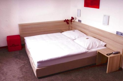 Imagen general del Hotel Wanner. Foto 5