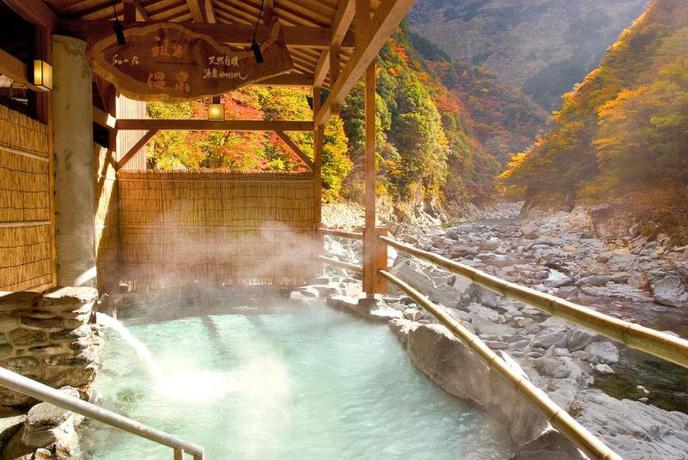 Imagen general del Hotel Wanoyado Hotel Iya Onsen Natural Hot Spring. Foto 11