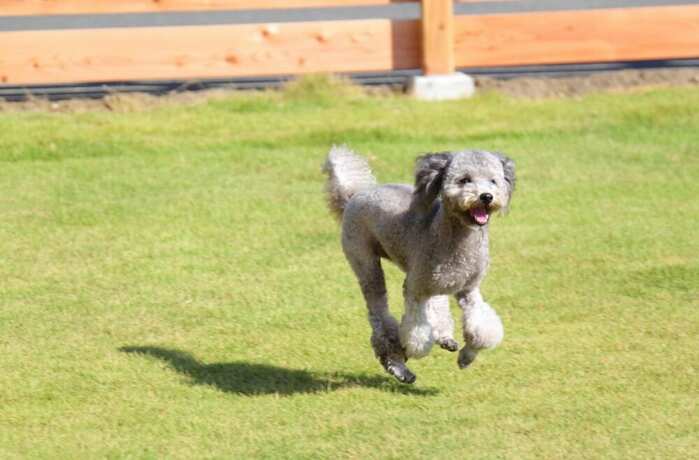 Imagen general del Hotel Wanraku. Foto 3