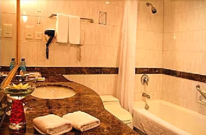 Imagen de la habitación del Hotel Wanyou Conifer. Foto 12