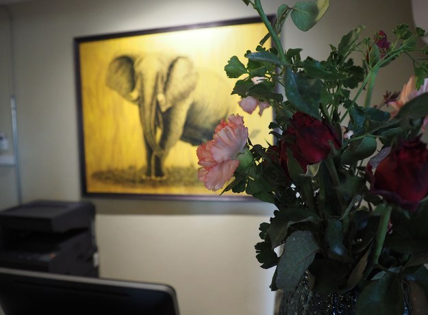Imagen de los interiores del Hotel Warila Hotel. Foto 19