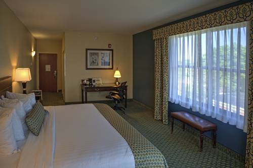 Imagen de la habitación del Hotel Warner. Foto 11