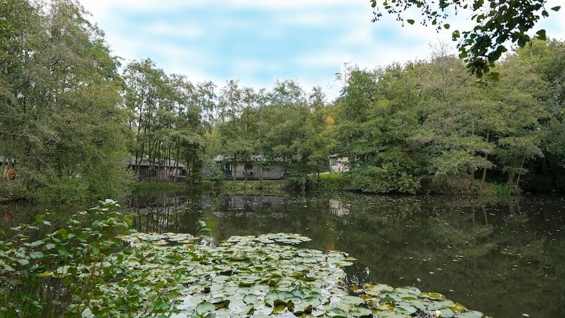Imagen de la habitación del Hotel Warren wood Country Park. Foto 17