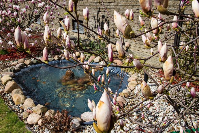 Imagen del bar/restaurante del Hotel Warsaw Apartments Magnolie. Foto 4