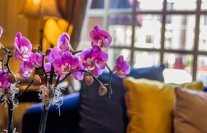 Imagen de los interiores del Hotel Warwick Melrose Dallas. Foto 14