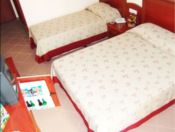 Imagen general del Hotel Wasa. Foto 2